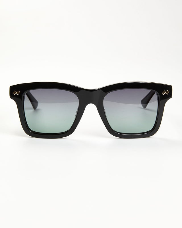 Aurinkolasit Skagen black & kotelo