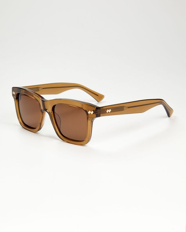 Aurinkolasit Skagen brown & kotelo
